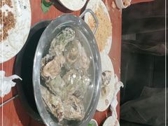 -比尔森韩式烤肉自助(绿园店)