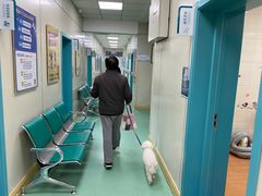 -北京观赏动物医院·24小时大型综合·猫专科·异宠专科
