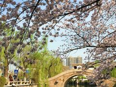 -常熟方塔园