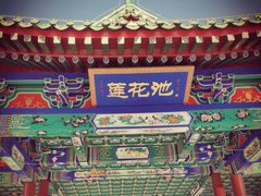 -莲花池公园