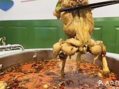 鲜活牛蛙-蛙两只美蛙鱼头火锅(恒茂店)
