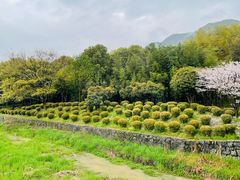 -兰亭风景区