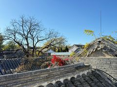 -闲·胡同 Barblu Hutong(雍和宫五道营店)