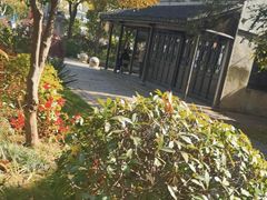 -巡塘古镇