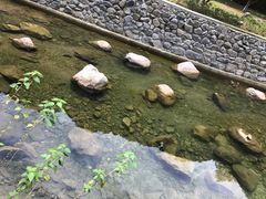 -宁波五龙潭景区