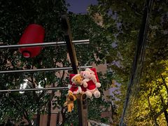 -花马天堂云南餐厅 Lost Heaven(高邮路店)