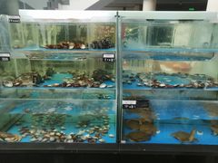水产区-旺顺阁鱼头泡饼(小红门店)
