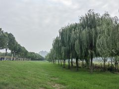 -汉江湾体育公园