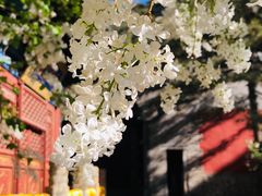 -潭柘寺景区