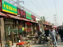 -中环花鸟鱼虫市场