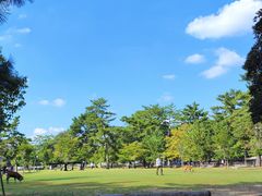 -奈良公园