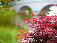 -大连植物园