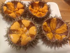 马粪海胆-海胆小馆(东北水饺·春柳店)