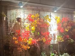 -贰醒·私房小院烧烤 (太古里店)