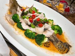 -顺意·顺德家乡菜(国际人才大厦店)