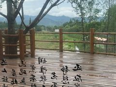 -长田漾湿地公园