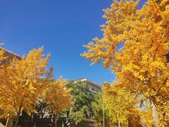 -农园餐厅(北京大学店)