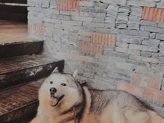 -几荷·恰似故人来(秀水广场店)