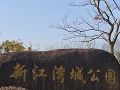 -新江湾城公园