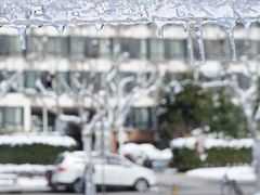 -同济大学(嘉定校区)