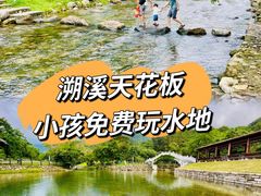 -杨梅坑
