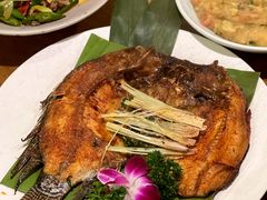 -紫滇源云南生态菜(丹凤街店)