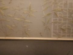 -和子足浴SPA会馆(东方之门店)