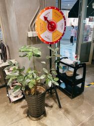 大厅-时尚殿堂明星门店