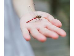 -桤木河湿地公园