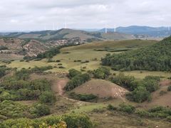 -御道口草原森林风景区