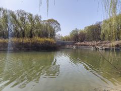 -大兴滨河森林公园