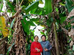 -宣兔头(马家场店)