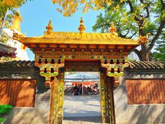-护国法轮寺