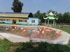 -秦皇岛野生动物园
