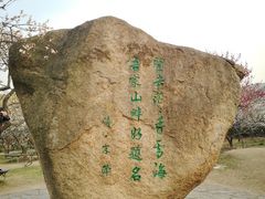 -香雪海