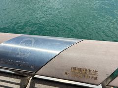 -星光大道