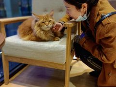 -藏猫猫咖啡主题馆(中央大道店)