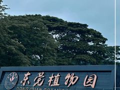 -东莞植物园