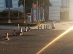 -奥林匹克体育中心游泳馆