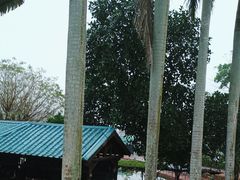 -侯臣咖啡文化村