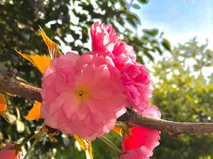 -木塔寺遗址生态公园