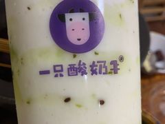 -一只酸奶牛(奎星楼店)
