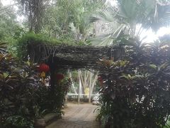 -海南热带野生动植物园