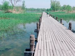 -马家湾湿地公园