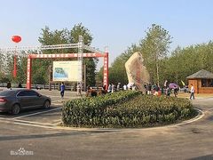 -合肥滨湖国家森林公园