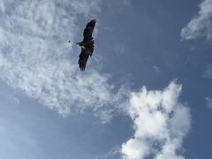 -新疆那拉提国家旅游度假区