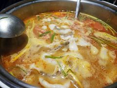 多c番茄-严厨老坛酸菜鱼(吴江万宝店)