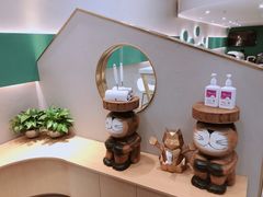 -飞行喵MR PILOT|猫舍·猫咖(静安大融城店)
