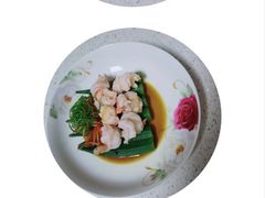 -田螺阿姨自营月嫂·育儿嫂(高新店)