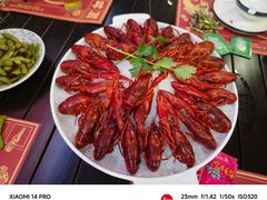 -阿甘龙虾·重庆麻麻鱼(中豪店)